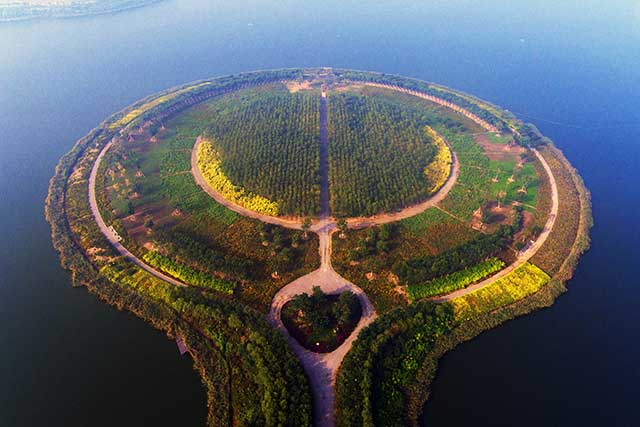 6-中新天津生態(tài)城綠化養(yǎng)護項目.jpg 6-中新天津生態(tài)城綠化養(yǎng)護項目.jpg